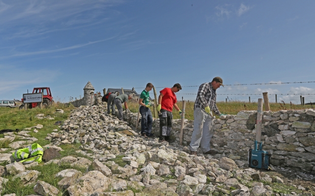 Dry Stone Wall Project (Tom McDonnell)